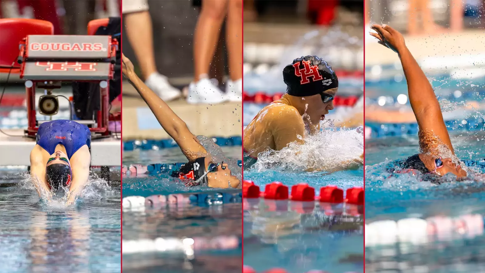 Four Cougars Head to Swimming Short Course World Championships – University of Houston Athletics