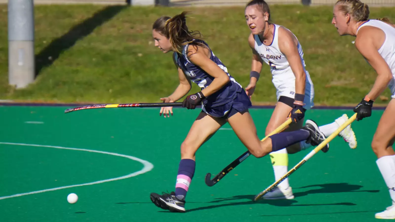 University of New Hampshire