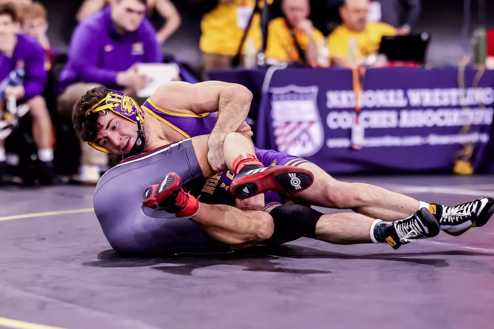 UNI wrestling cruises past Sacred Heart, Ohio on opening day of NWCA