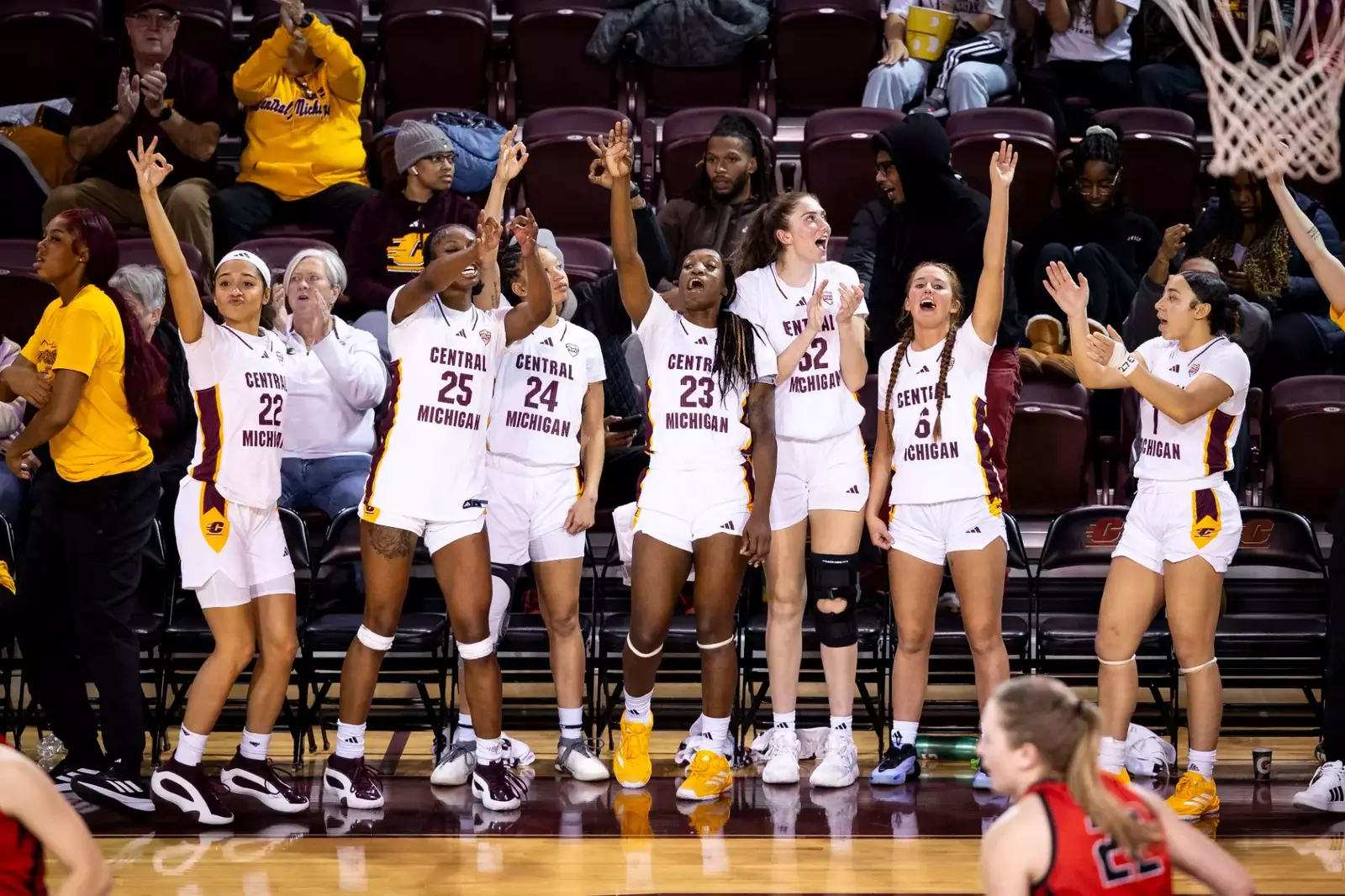 Central Michigan University central-michigan-university