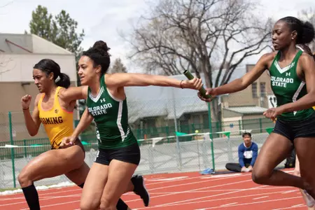 Colorado State University