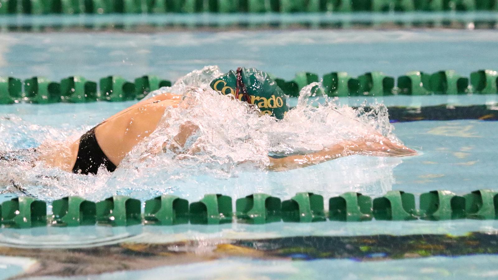 Kaleb Roush Rams Swimming and Diving announces incoming freshman class - Colorado ...