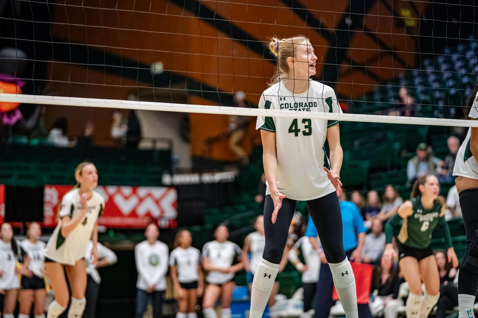 Riley Simpson's Resilient Journey: Family, Volleyball, and Hope - BVM ...