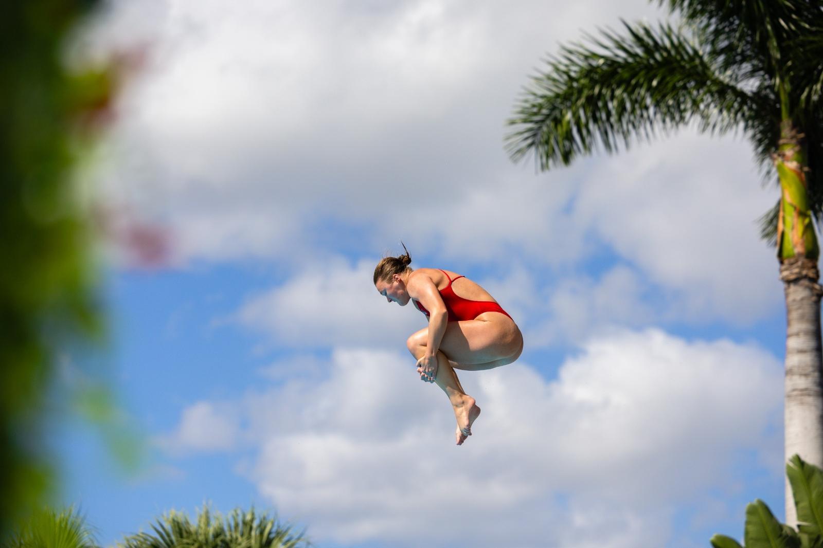 Fau Pool Owls Ready for Regular Season Finale - Florida Atlantic University ...