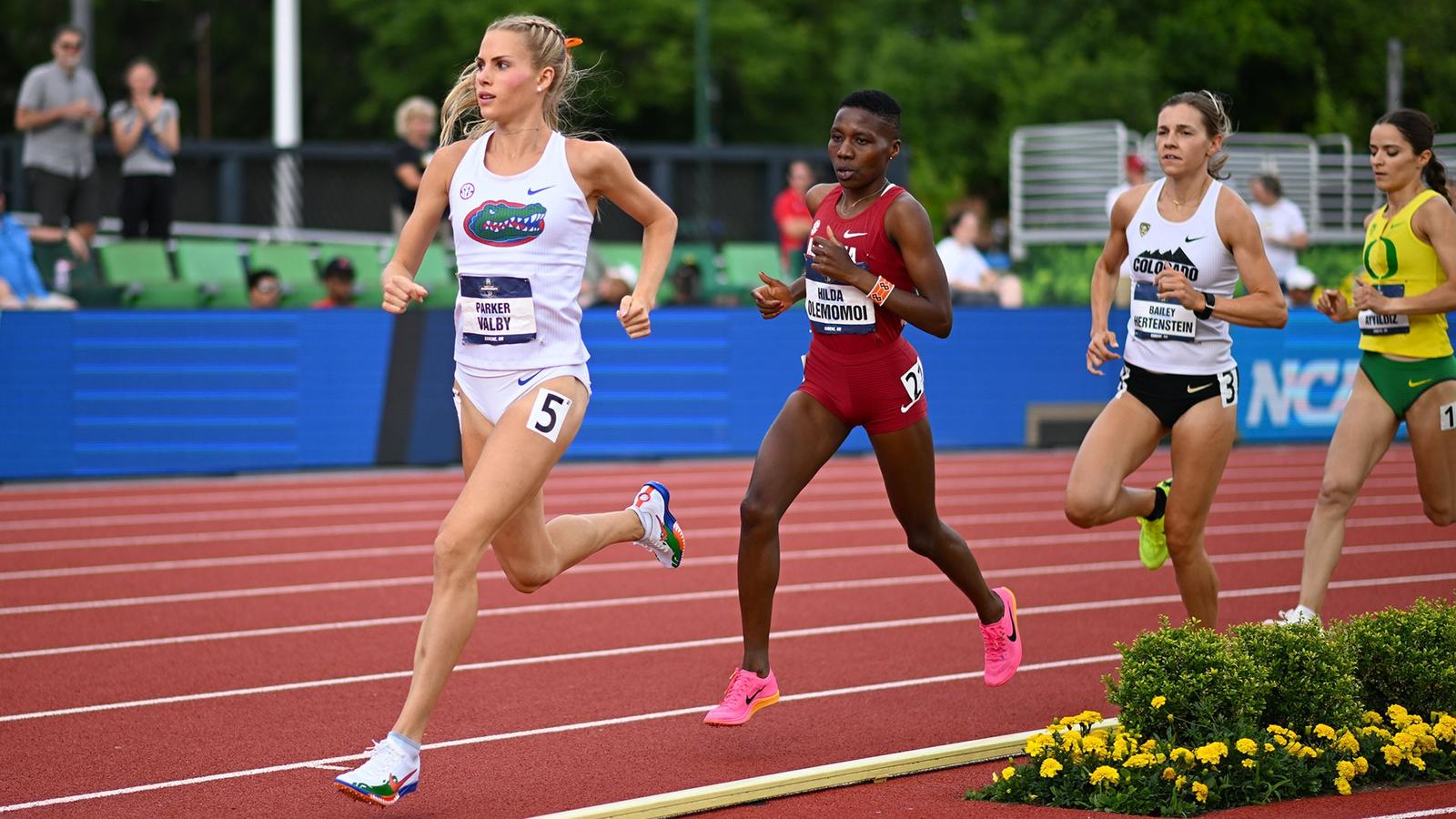 Kyle Valby Florida Parker Valby Among Finalists for 2024 Honda Sports Award - Florida Gators