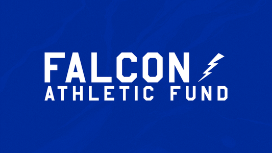 Blue Falcon Ribbon Blue Falcon Army