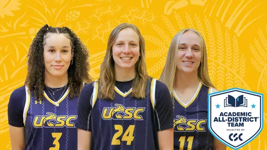 Anne Inserra Anderson, Hammons, and Inserra named CSC Academic All-District ...