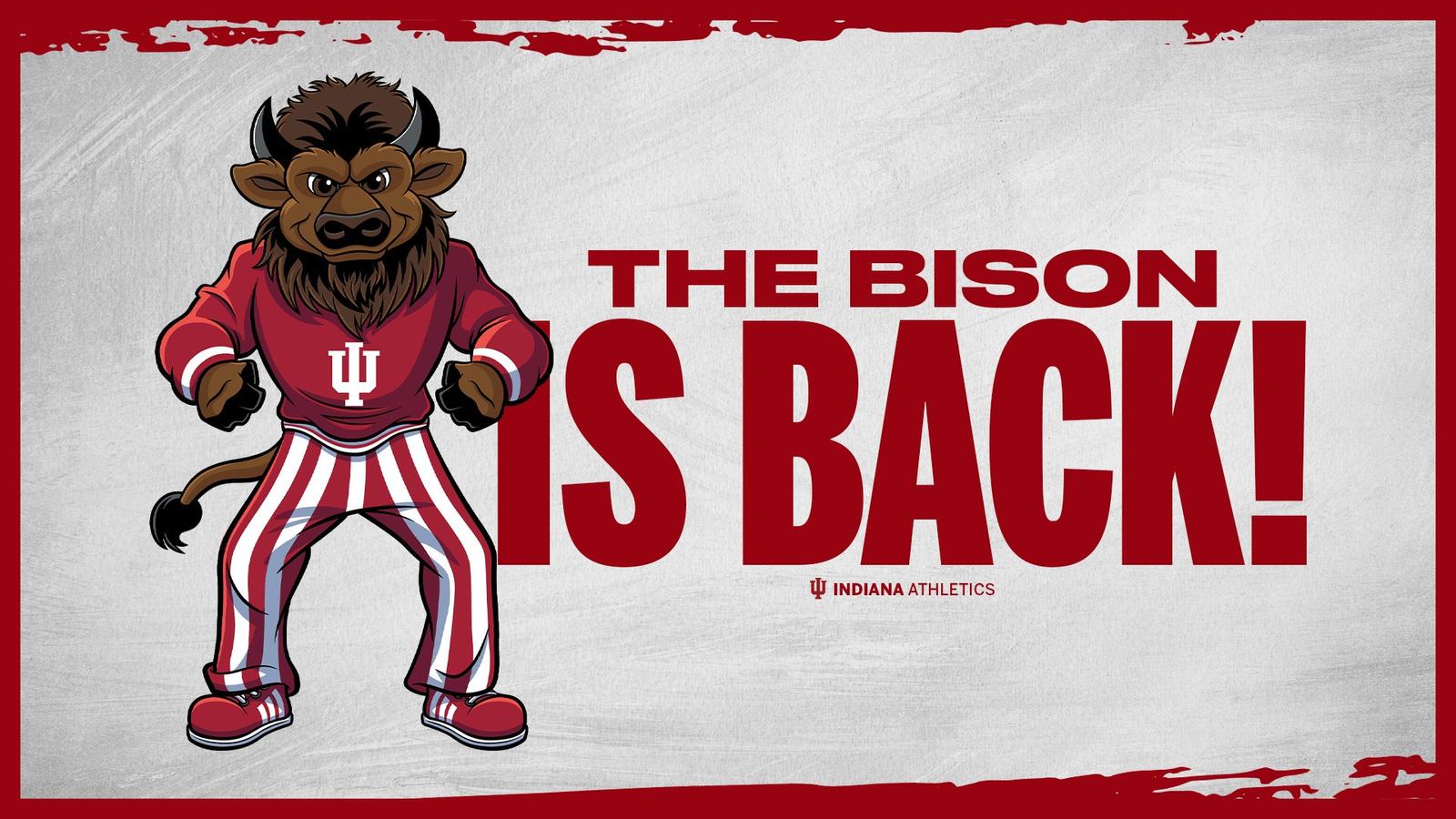 IU Reinstates The Bison As The Official IU Bloomington Mascot Hoosier iu-reinstates-the-bison-as-the-official-iu-bloomington-mascot-hoosier