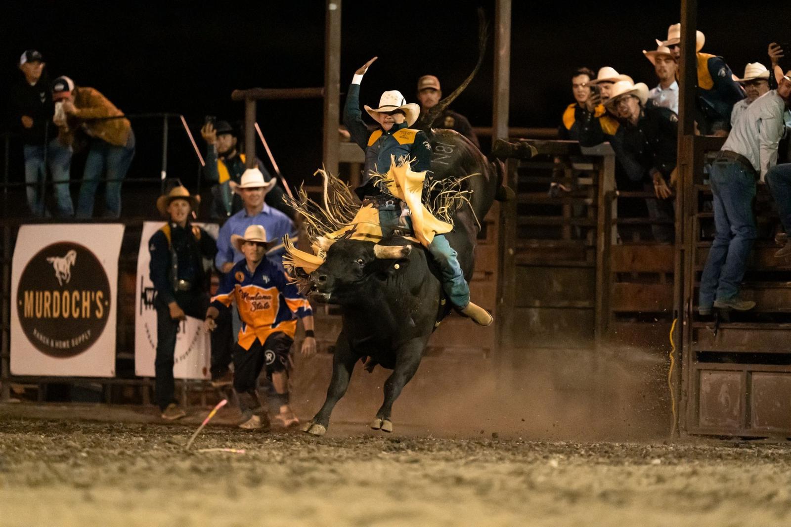 Um Rodeo Bobcats Head to Glendive After Strong Start to 2024-25 Fall Rodeo ...