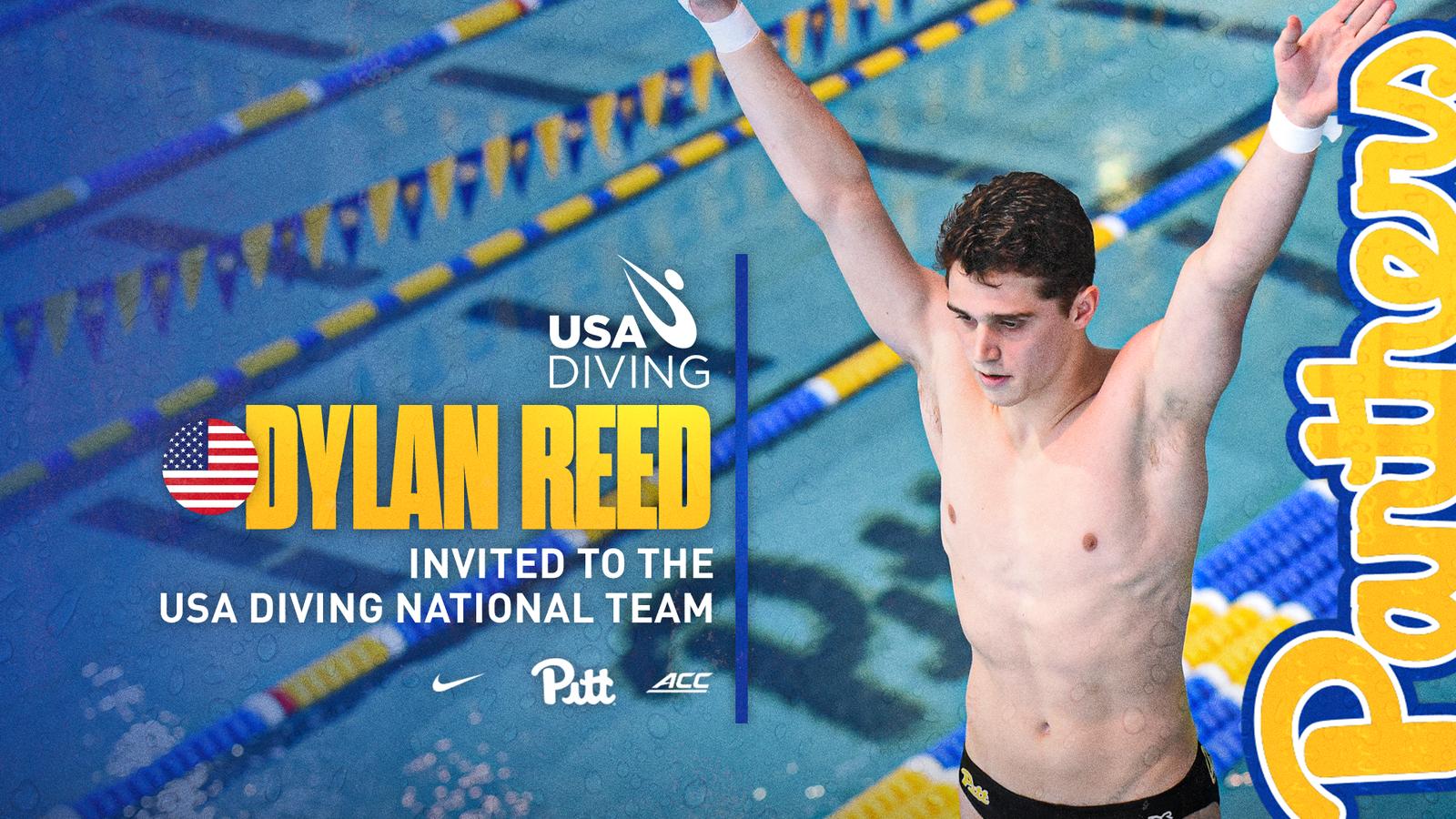 Dylan Reed Receives USA Diving National Team Invitation - Pitt Panthers ...