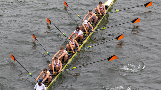 Princeton University