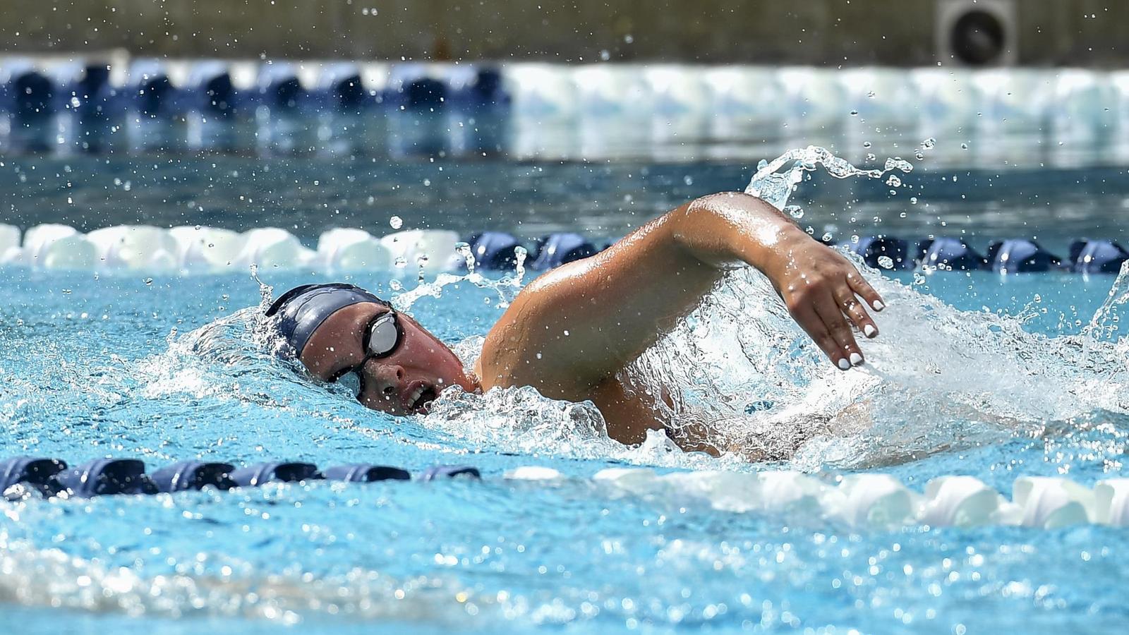 Swimming Rice Owls Win Six Events on First Night of Triple Dual - Rice University ...