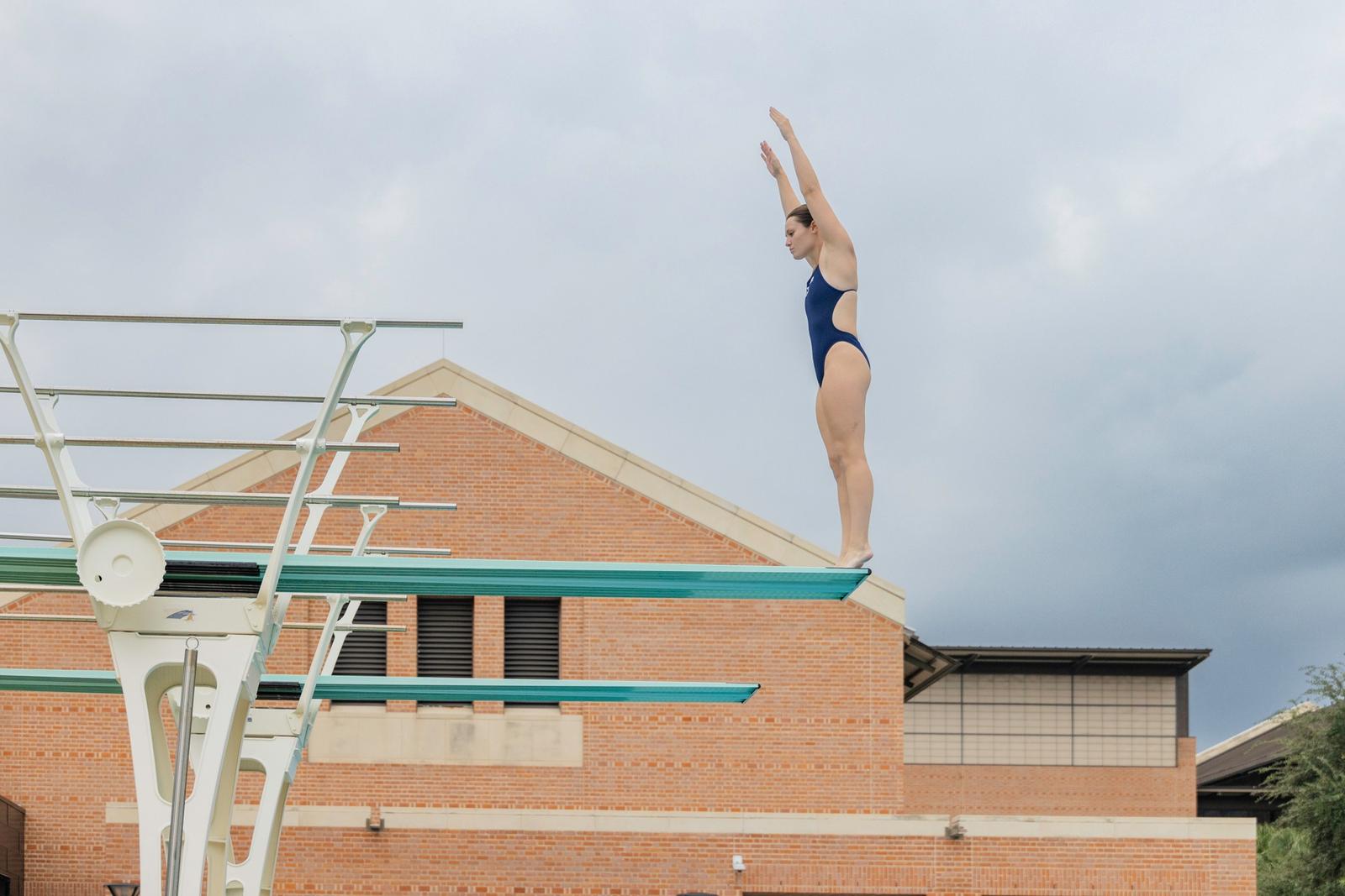 Swimming Rice PREVIEW: Rice Diving Rounds Out Arizona Trip Against NAU, Illinois ...