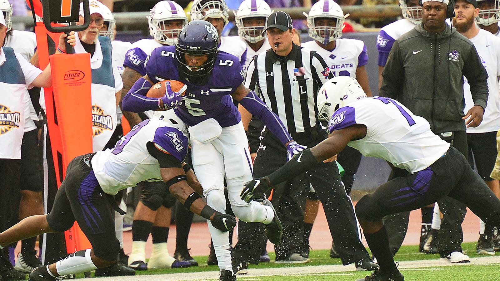 Stephen F Austin University