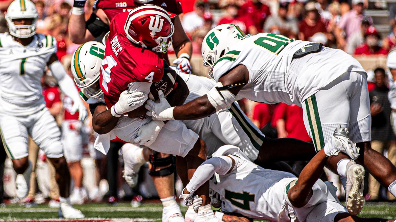 Wylee Rice Setting the Stage: Rice - Charlotte Athletics