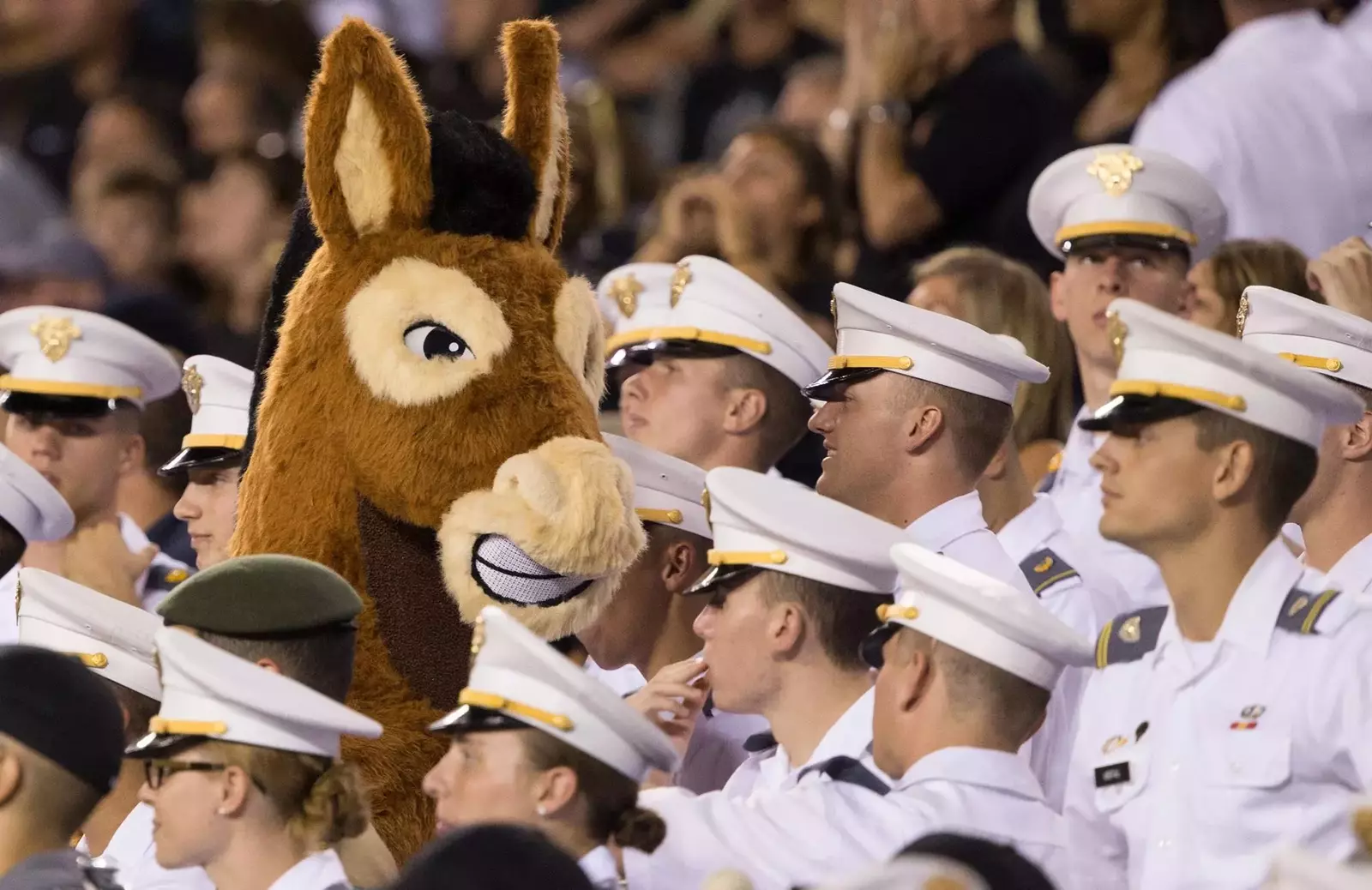 Army West Point - Official Athletics Website