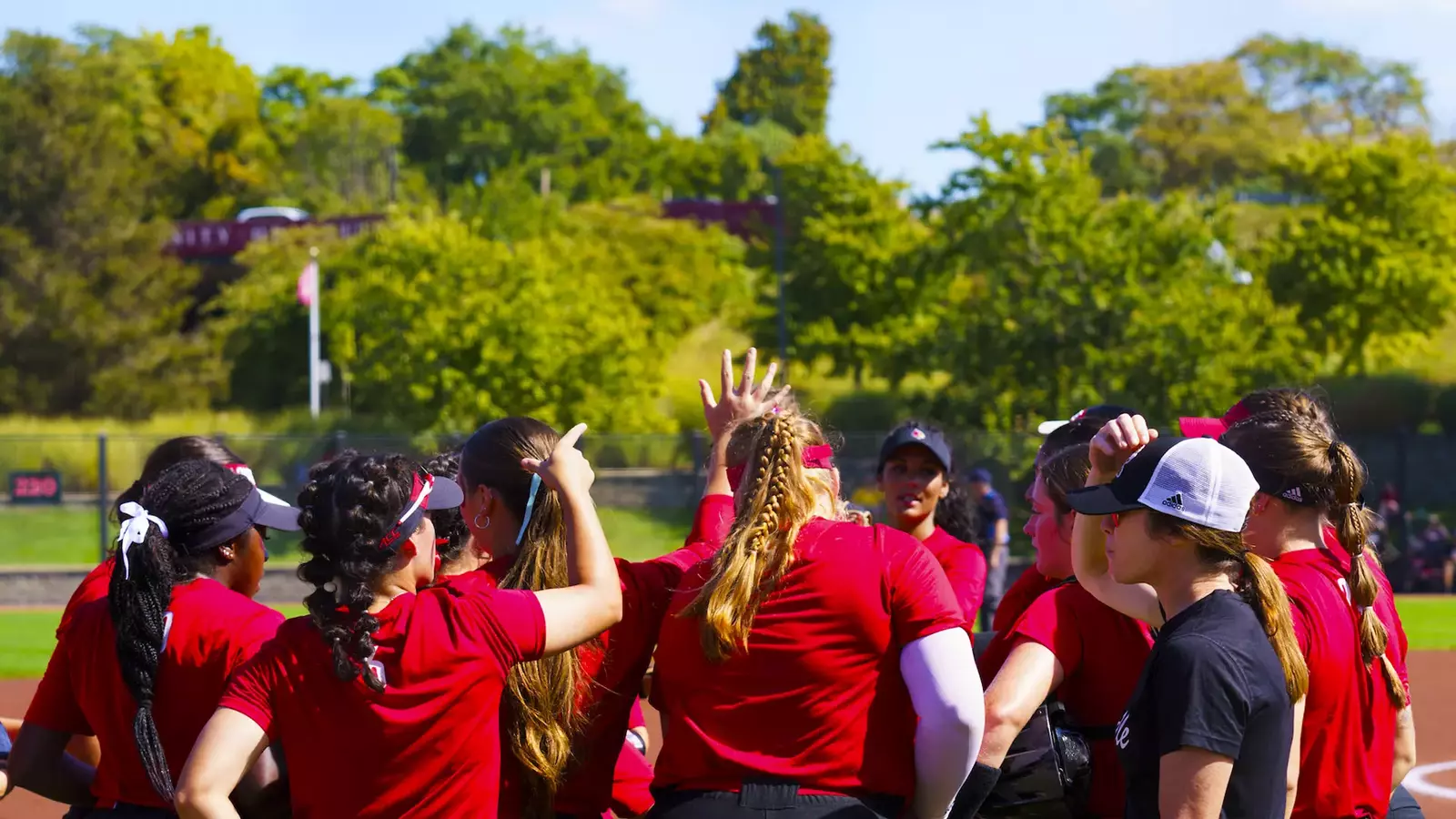 Fall Softball Field Fall Softball Wrap Up - University of Louisville Athletic