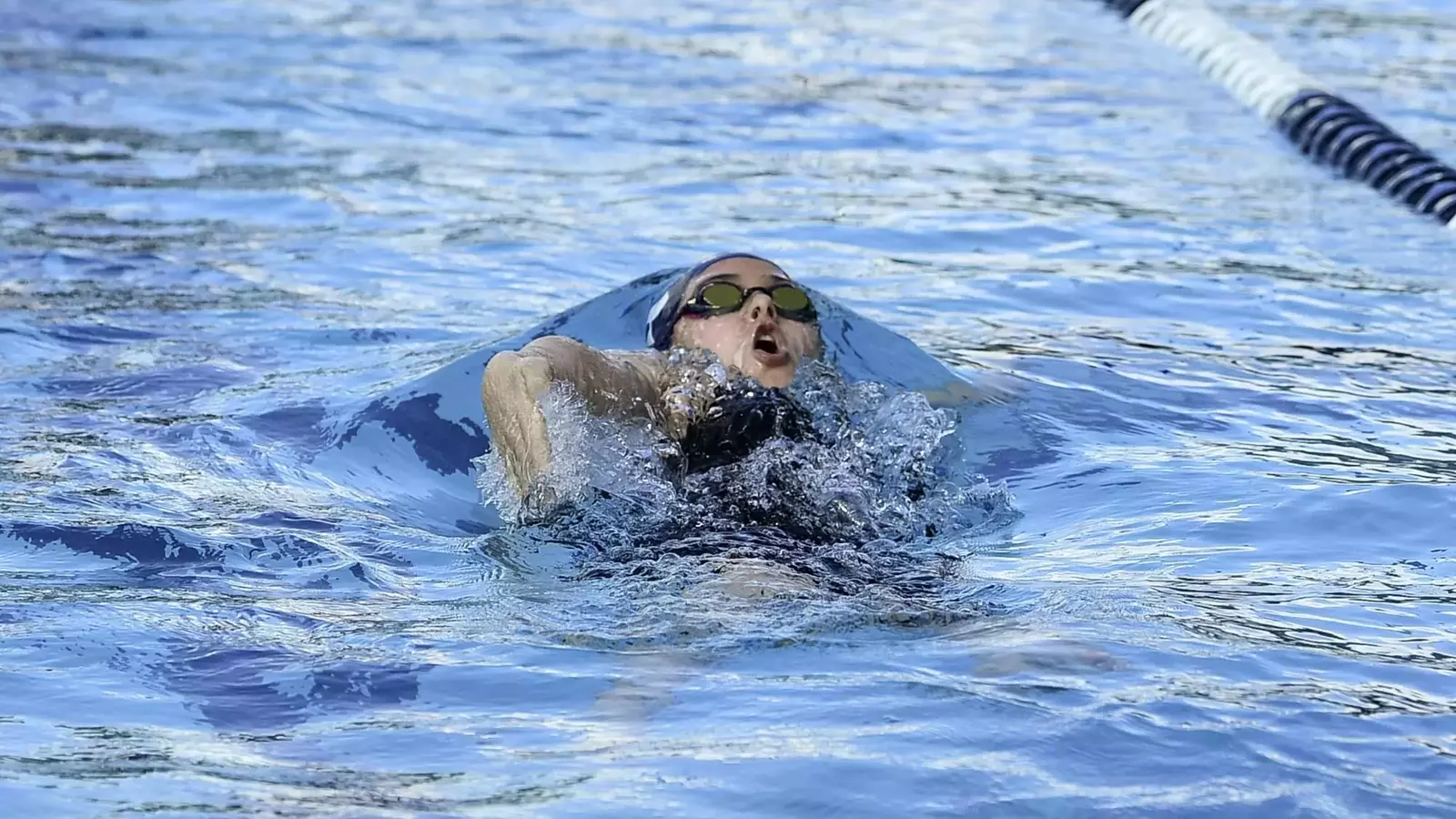 Swimming Rice Rice University