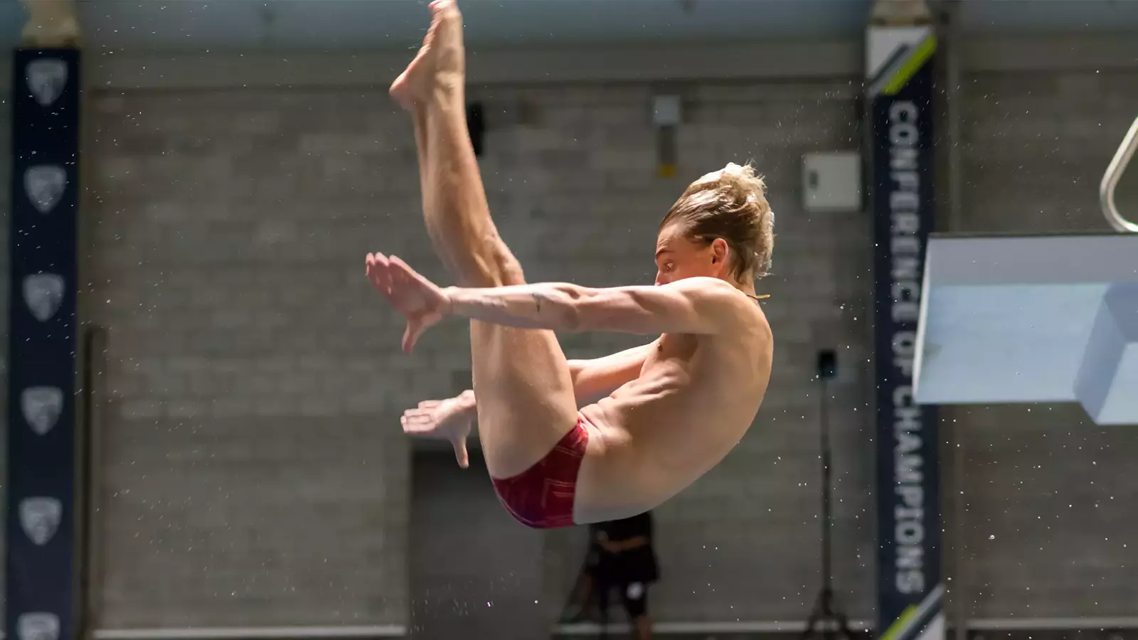 Jason Rhodes Ut Diver University of Utah Athletics