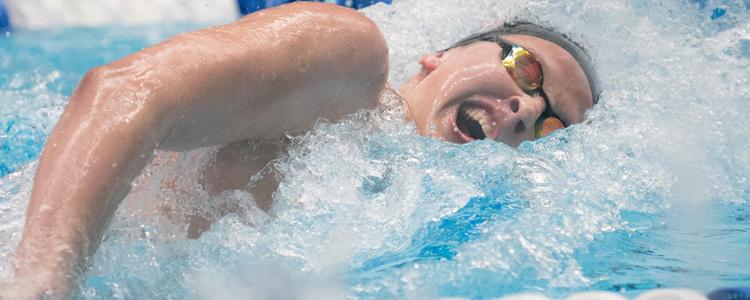 North Carolina State University