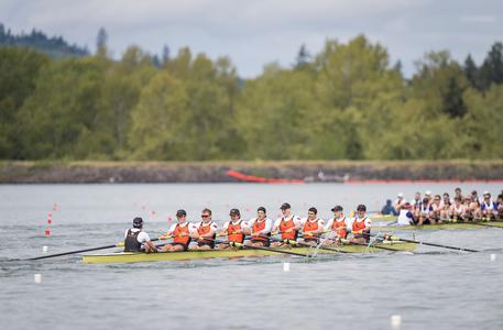 Ust Rowing Oregon State University Athletics