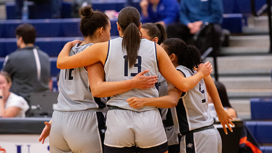 Cats Fall to Black Bears in Border Battle 67 48 University of